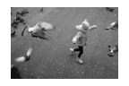 f0477760-BW-Border