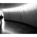 f3972544-BW-Border