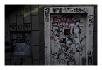 DSCF0518