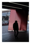 DSCF0548